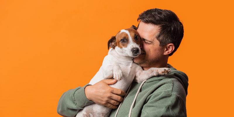 Seguro para mascotas en Colombia: protege a tu perro o gato con tranquilidad