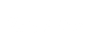 SEGUROS POR INTERNET