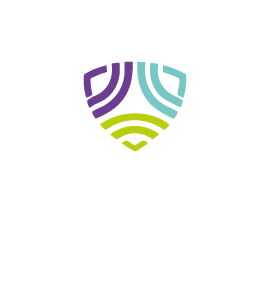 SEGUROS POR INTERNET